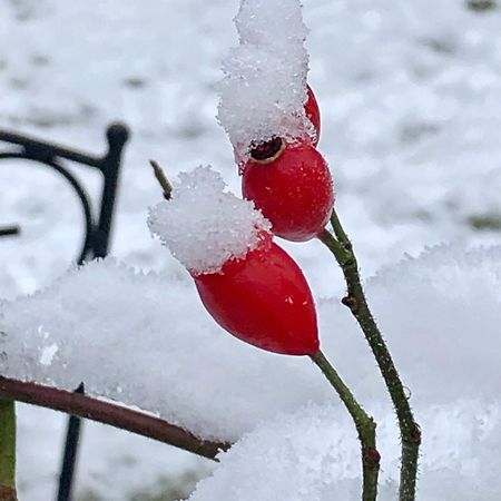 보르크하이데 Auf Der Heide 빌라 외부 사진